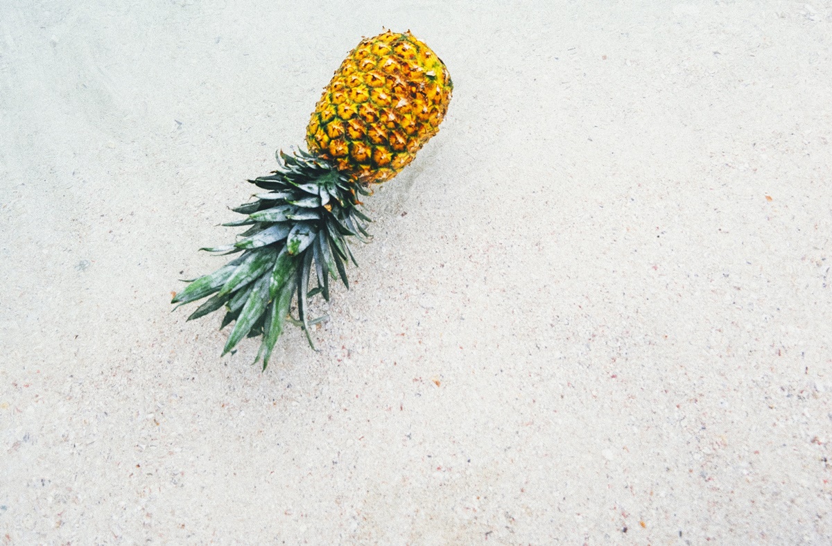 40 ideas for fun things to do in the summer