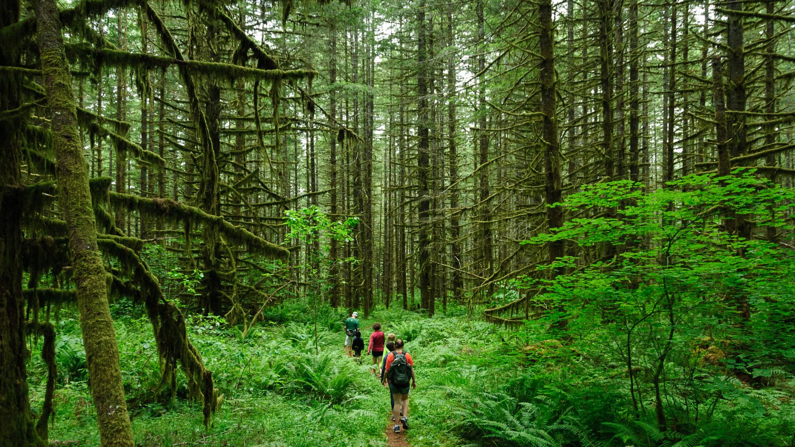 8 meaningful travel experiences to enrich your life - 203Challenges
