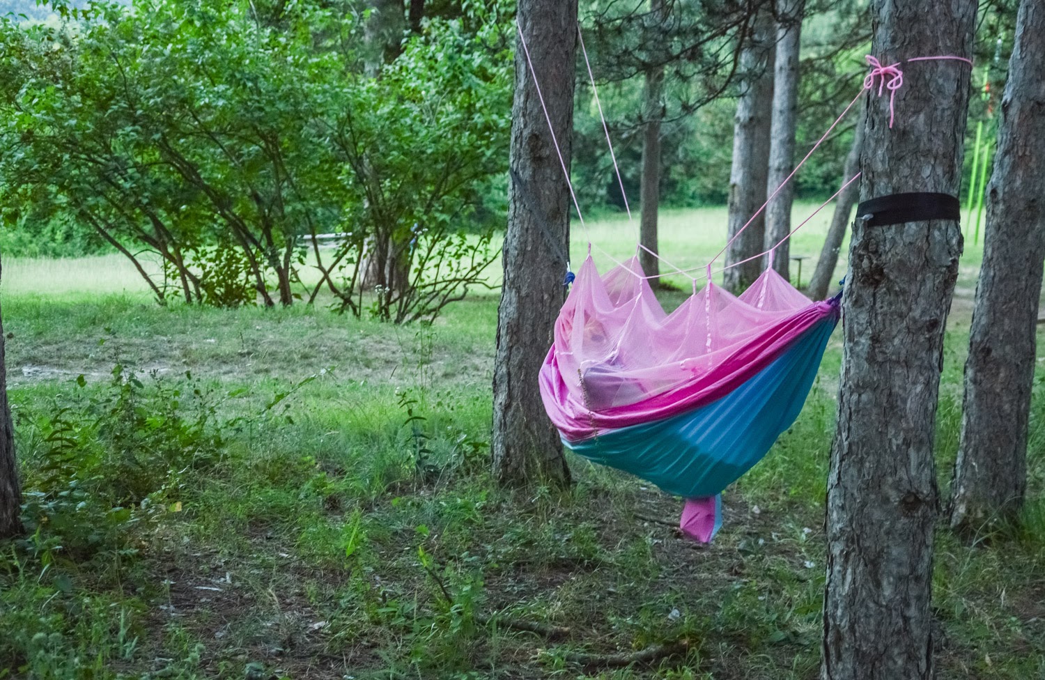 How I swapped my bed for a hammock this summer (and kept on going to work)