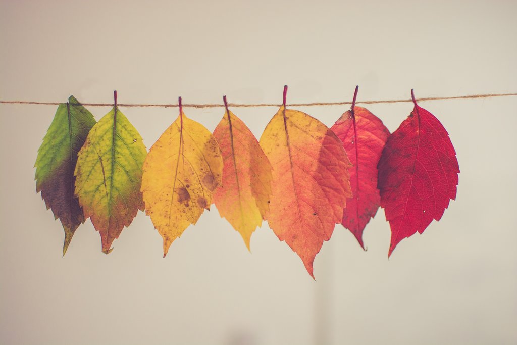 Travel inspiration – 4 September challenges