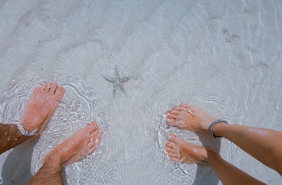 Fun things to do at the beach