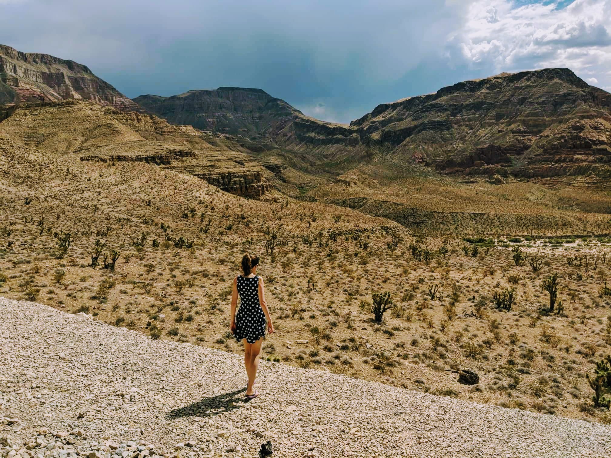 10 reasons why you should travel to the United State National Parks