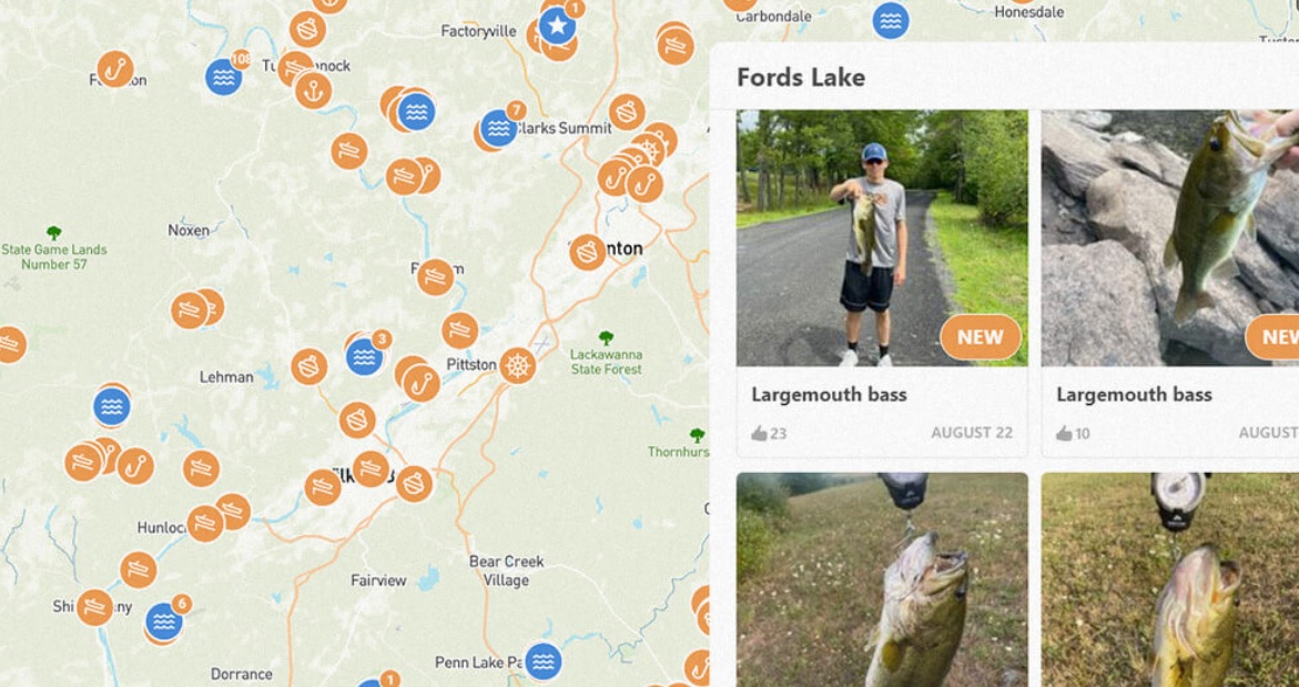Planning a Budget-Friendly Fishing Trip: Tips for Affordable Angling Adventures