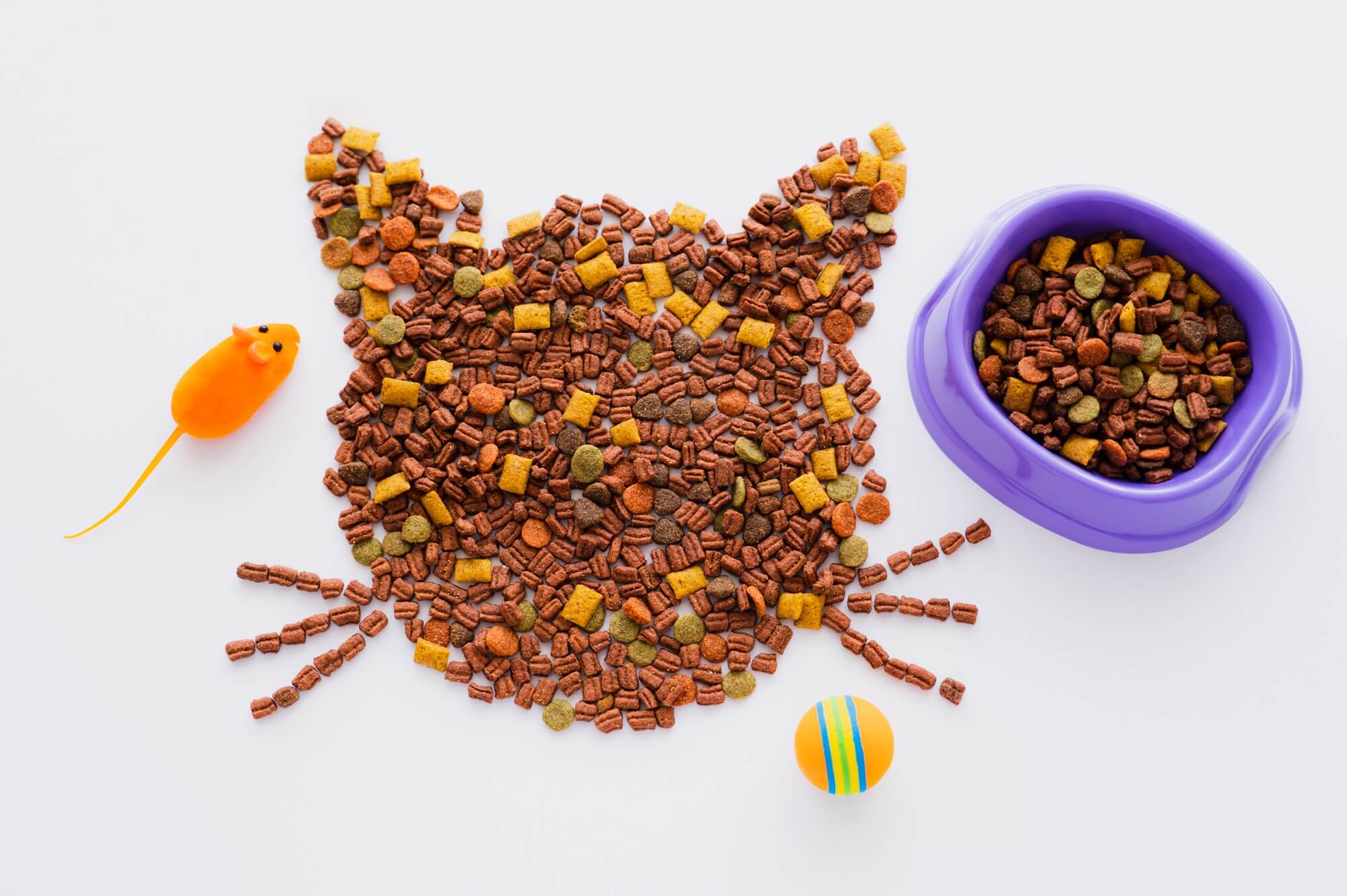 Why Quality Cat Food Matters for Your Feline Friend Why Quality Cat Food Matters for Your Feline Friend