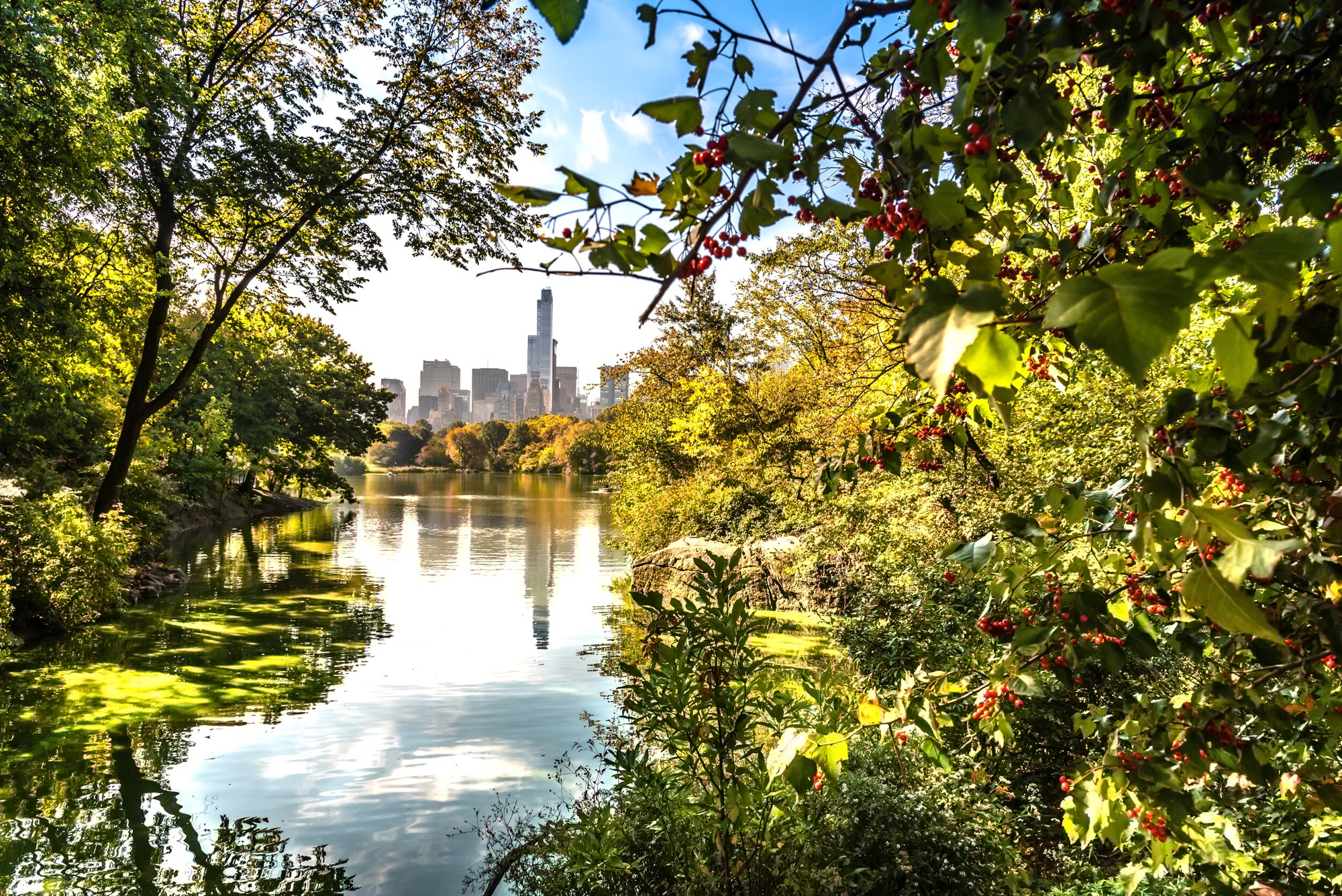 The Best Picnic Spots in Central Park The Best Picnic Spots in Central Park
