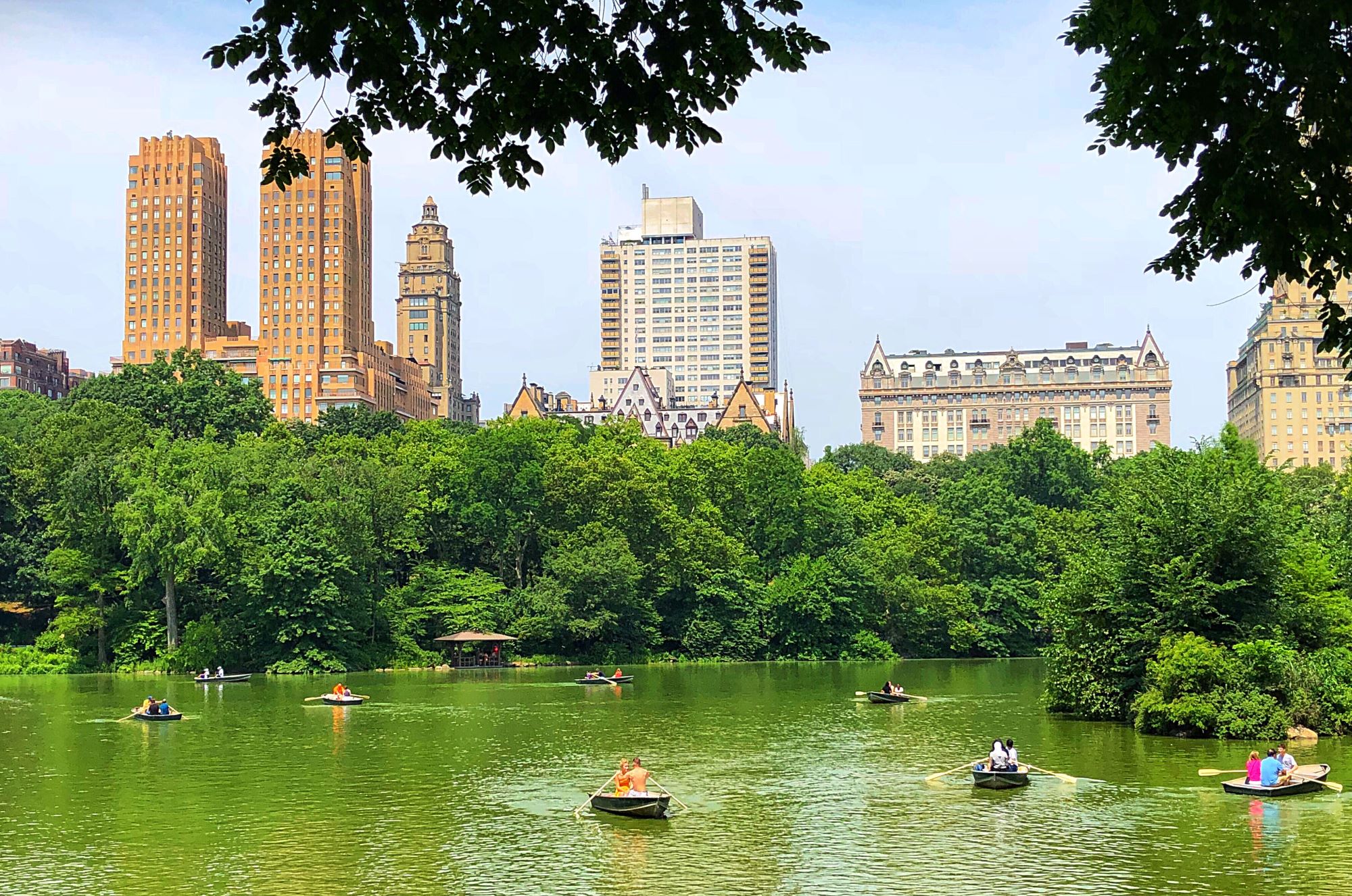 Central Park: Must-Visit Attractions and Activities