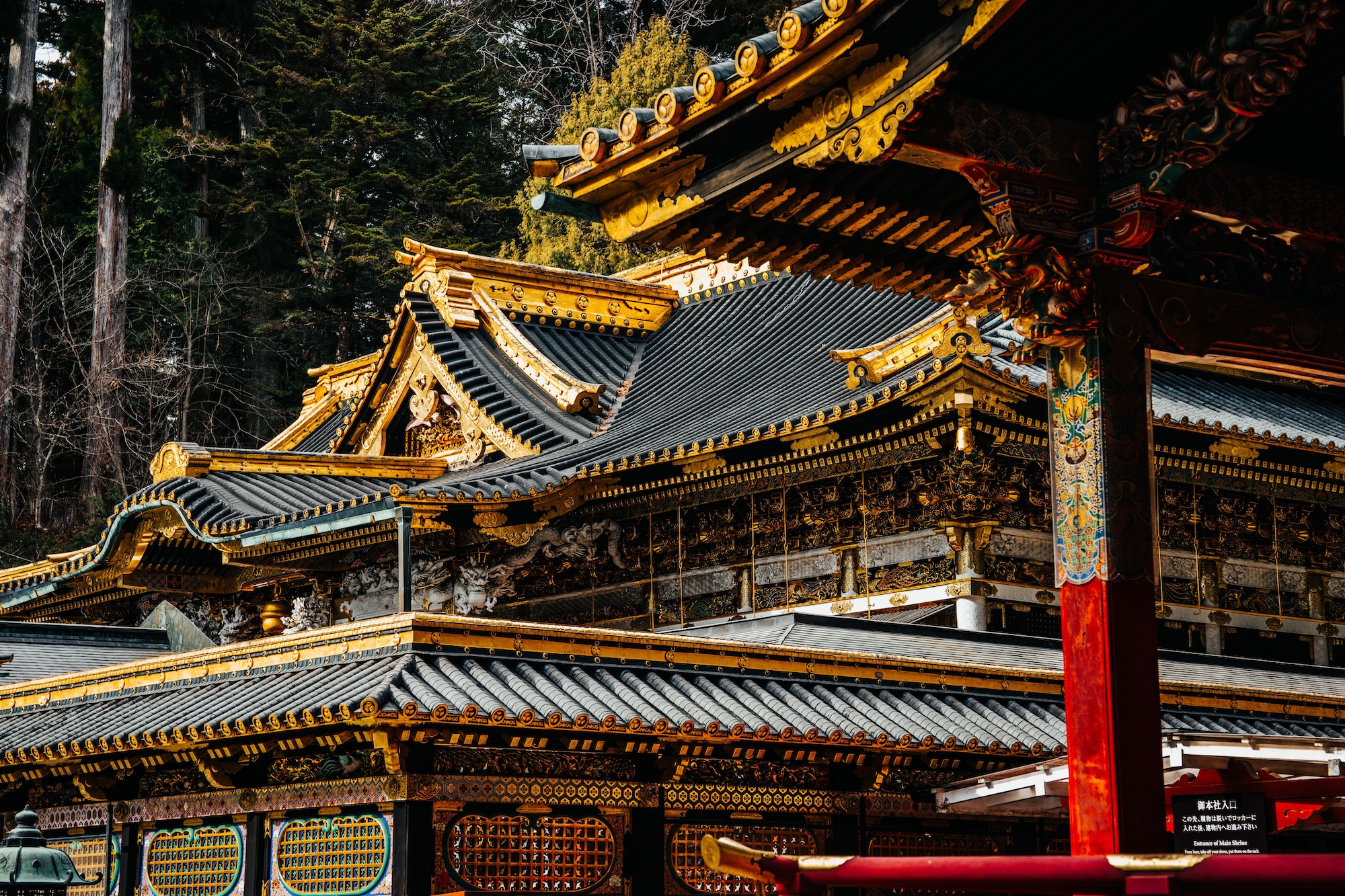 Explore Nature: Top Day Trips from Tokyo