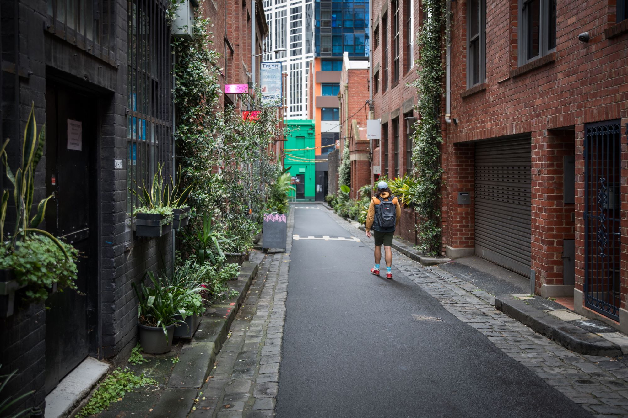 The Vibrant Art Scene in Melbourne’s Laneways