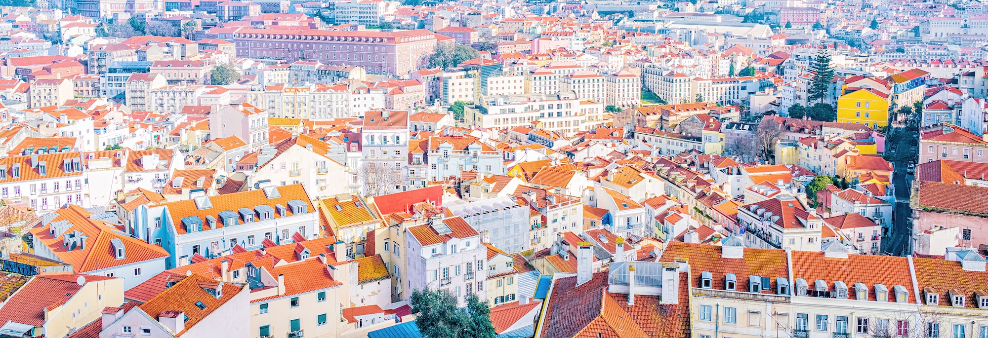 Lisbon’s Street Art Scene Lisbon’s Street Art Scene