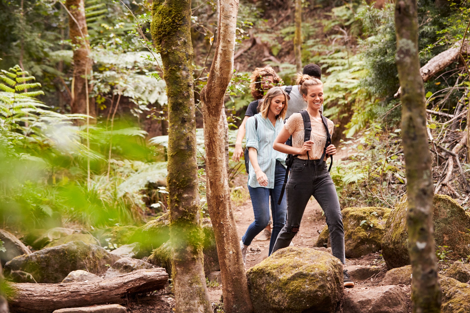 Melbourne’s Best Hiking Trails Melbourne’s Best Hiking Trails