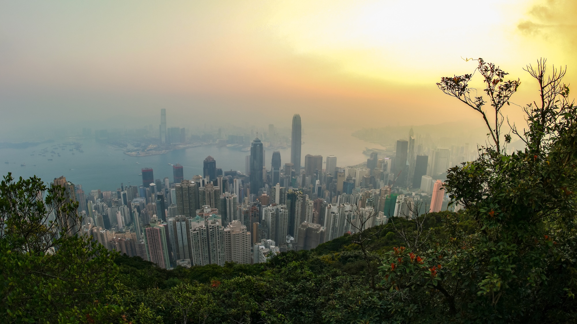 Hong Kong’s Victoria Peak for Unforgettable Views Hong Kong’s Victoria Peak for Unforgettable Views