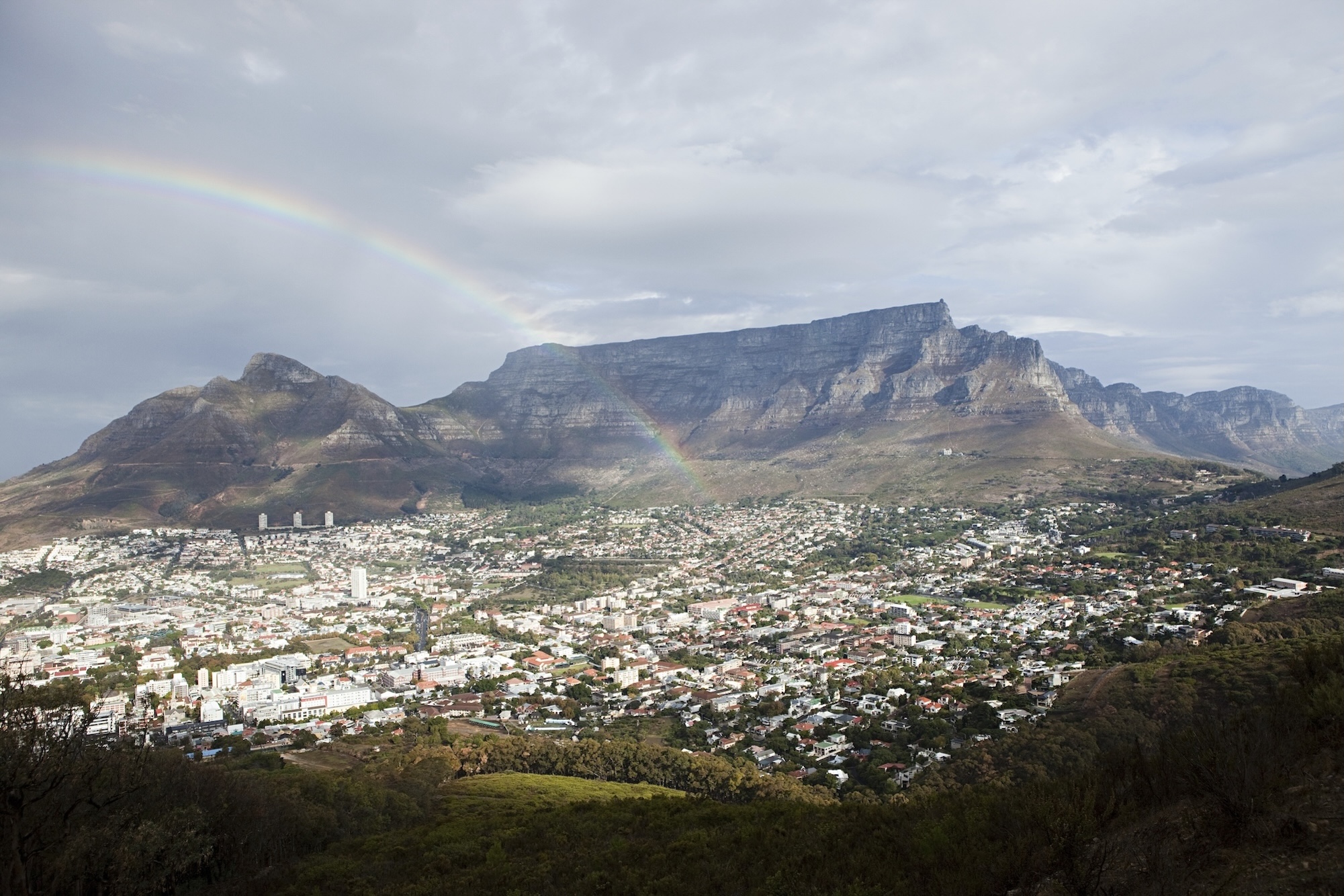 Thrilling Adventures in Cape Town
